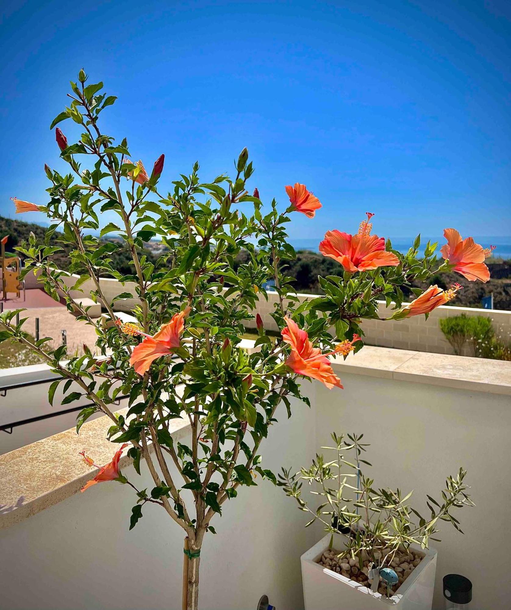 Rincon Idilia Apartment Rincon de la Victoria Luaran gambar